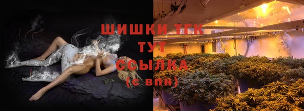 гидропоника Богданович