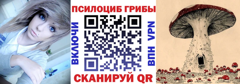 Псилоцибиновые грибы Cubensis  магазин продажи   Бугуруслан 